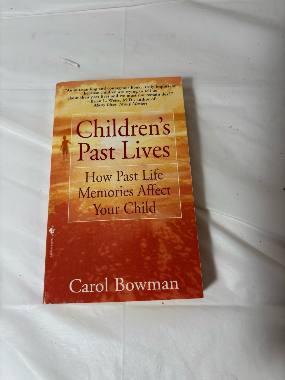 Children's Past Lives by - Carol Bowman